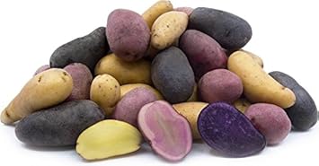 Mixed Potatoes Vegetable Seeds for Planting heirloom & Non-GMO Seeds