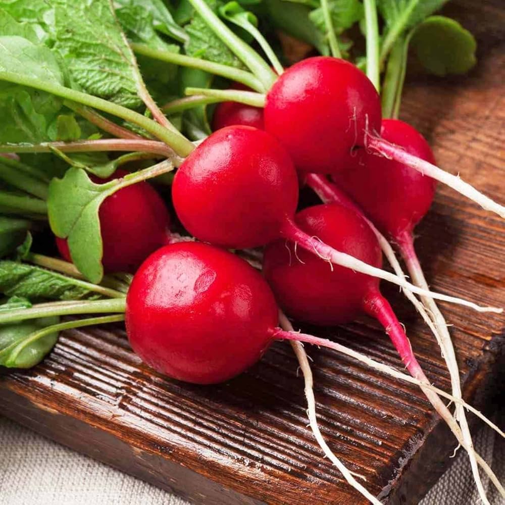 Radish Imported Scarlet Red Globe Vegetable Seeds