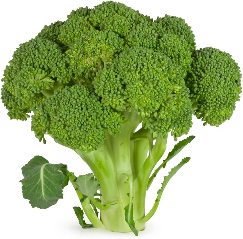 Broccoli ‘Kaiser’ vegetable seeds – nutrient-rich heirloom variety