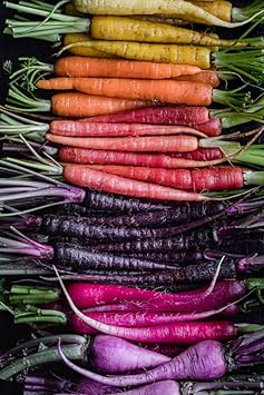 Mixed Carrot Vegetable Seeds for Planting heirloom & Non-GMO Seeds
