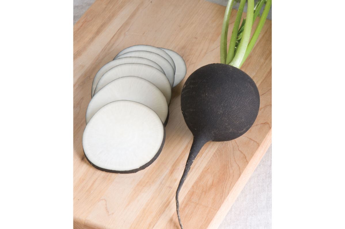 Nero Tondo – Black Radish Seeds