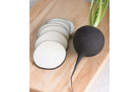 Nero Tondo – Black Radish Seeds