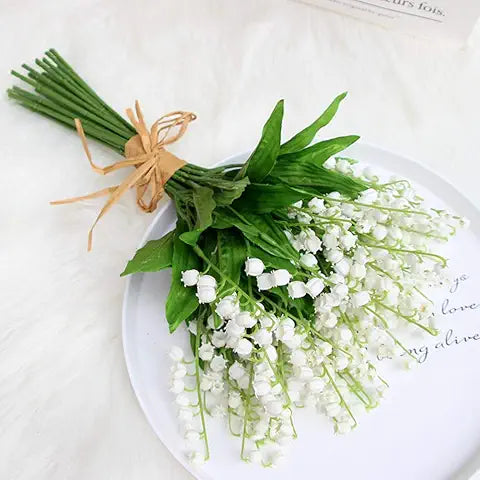 Lily of the Valley Orange Easy Grow Plant Seeds