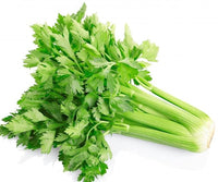 Celery Seeds for Garden Plants