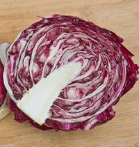 Perseo – Radicchio Seed