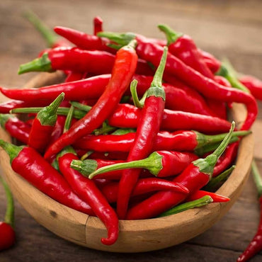 Cayenne pepper Capsicum annuum large red seeds for planting in backyard garden or pots for spicy harvest