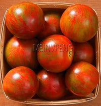 Red Tomato Solanum lycopersicum seeds for garden planting