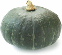 Sweet Jade – Organic Kabocha Squash Seed