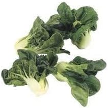 Army green bok choy Brassica rapa seeds for planting in backyard garden