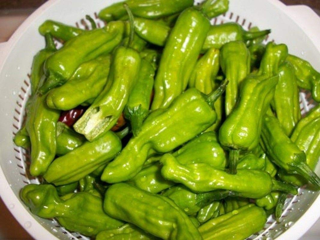 Pepperoncini (pepper Capsicum annuum greek gold) for planting in garden