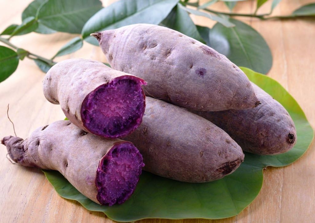 Mini Giant Purple Potato Nutritious Vegetable - for planting in home garden