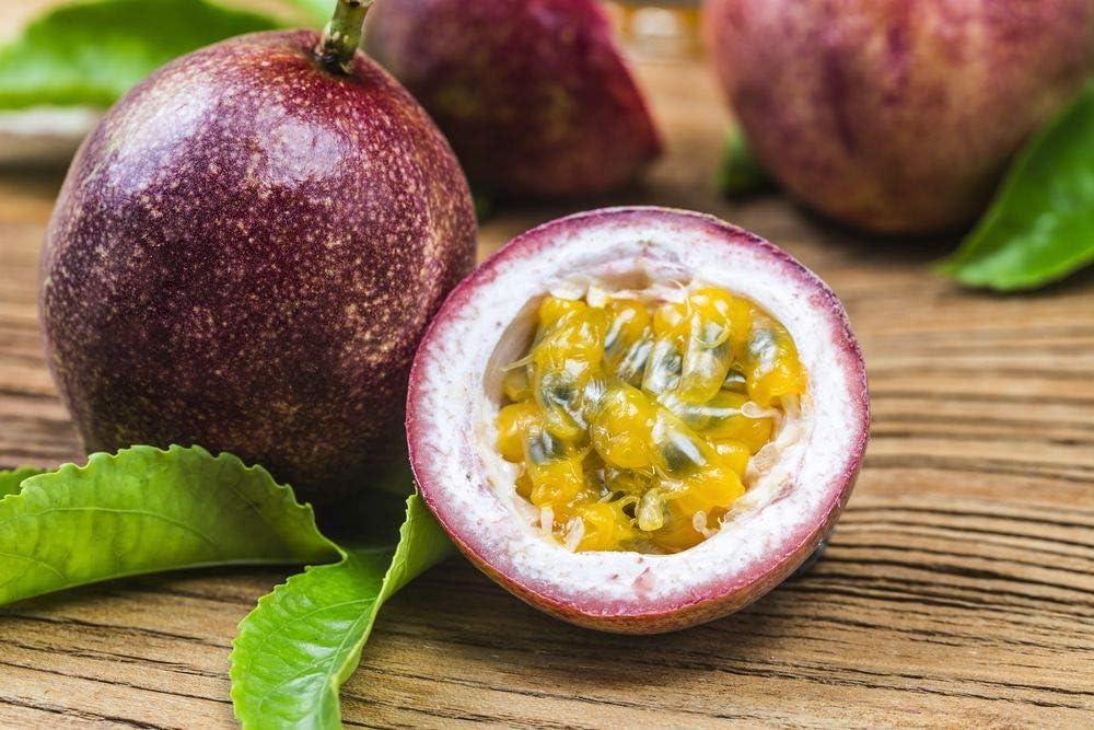 Passiflora Edulis Passion Fruit Seeds for Planting - Purple Pink, For Tropcial Gardens
