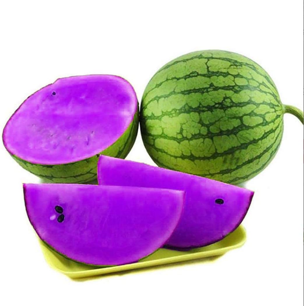 Marmelos Aegle marmelos Fruit Seeds for garden