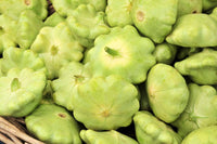 Benning’s Green Tint scallop squash seeds – heirloom pattypan variety