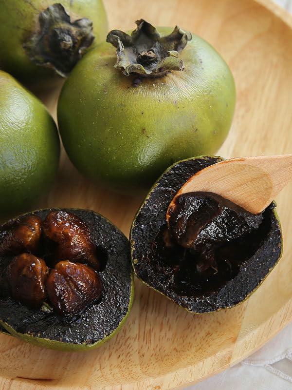 Black sapote Diospyros digyna seeds for tropical food forest