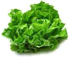 Lettuce Vegetable Seeds for Planting - 100 pcs