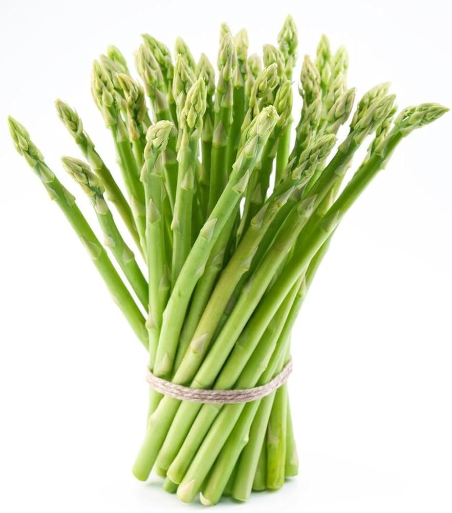 Asparagus Mary Washington seeds (Non-GMO) sprouting into tall, feathery foliage with thick, tender green asparagus spears ideal for spring harvests