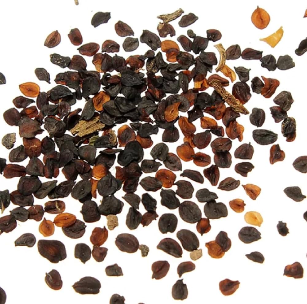 Carnation seeds (16 Colors) sprouting vibrant, ruffled flowers in a variety of hues, perfect for mixed floral beds and arrangements