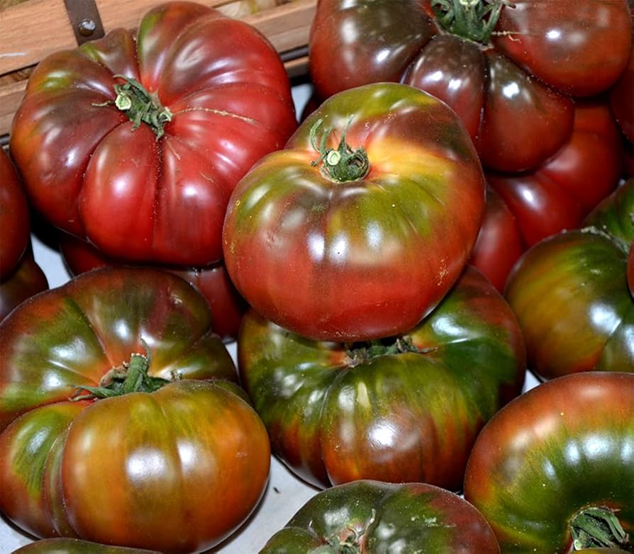 Black Tomato ‘Krim’ seeds – heirloom Lycopersicon with deep flavor