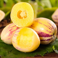 Sugar Gold Pepino Melon Fruit Seeds for Planting - Sweet Tropical Treats, Heirloom and GMO Free Seeds for your Home Garden