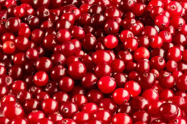 Cranberry Fruit Seeds for Planting – Growing Tart, Healthy Cranberries, Heirloom & Non-GMO seeds