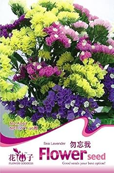 Heirloom (Heirloom scientific name) for planting in garden