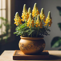 Heirloom Non-GMO Yellow Bonnets Flower Seeds for Planting – Bright Wildflower Blooms for Cottage Gardens - Non-GMO for planting in home garden