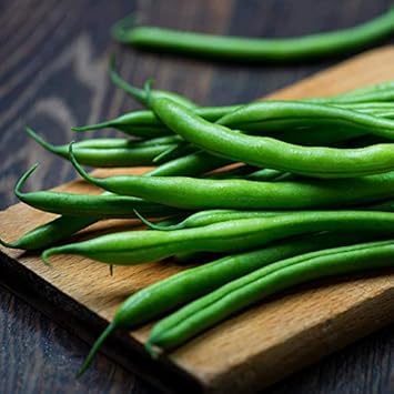 Green Lake Bean Seeds for Planting - Healthy Vegetable 100 pcs