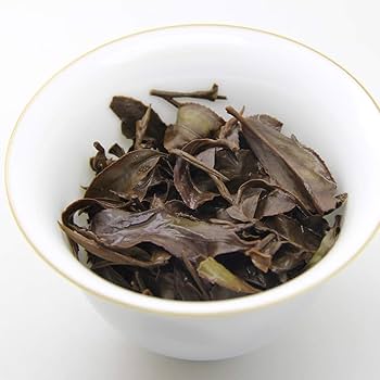 Powerhouse – Organic Lettuce Seed