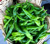 Anaheim Chili Pepper seeds – mild heat pepper for stuffing and roasting