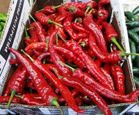 Red Chili Seeds for Planting, heirloom & Non-GMO Seeds