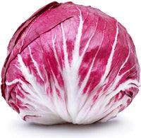 Radicchio Cichorium intybus seeds for garden planting