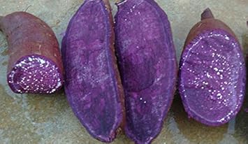 Purple Sweet Potato Vegetable Seeds for Planting heirloom & Non-GMO Seeds