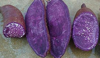 Purple Sweet Potato Vegetable Seeds for Planting heirloom & Non-GMO Seeds