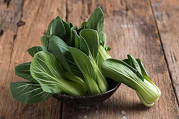 Dark green bok choy Brassica rapa seeds for planting in home garden