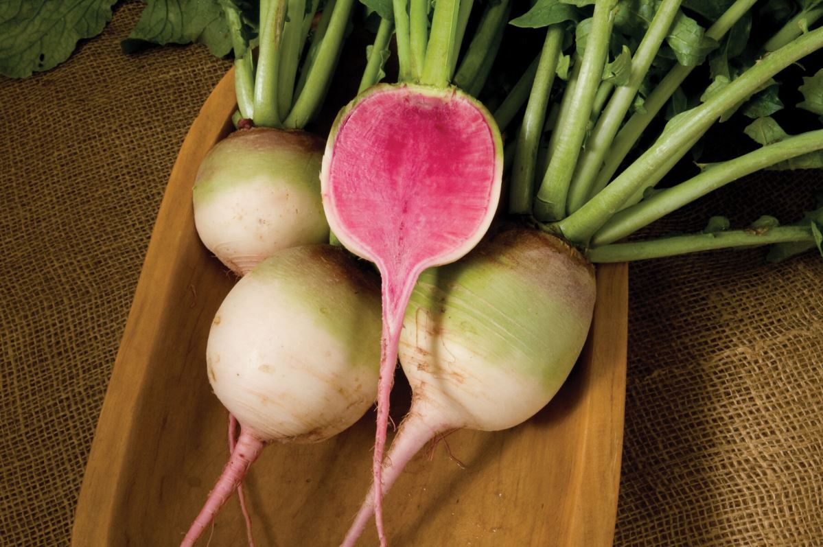 Red Meat – Watermelon Radish Seeds