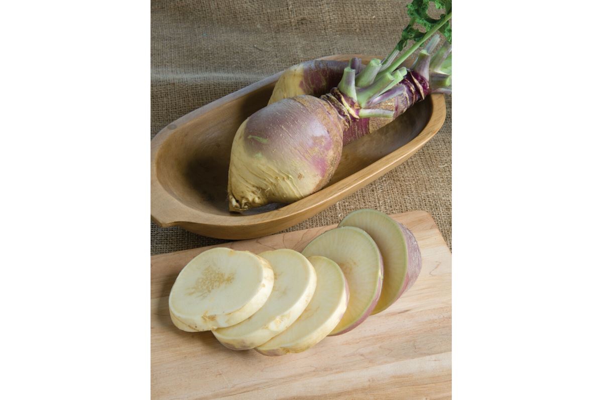 Laurentian – Rutabaga Seed