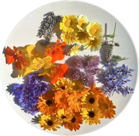 Organic Edible Flower Collection – Organic Flower Seed