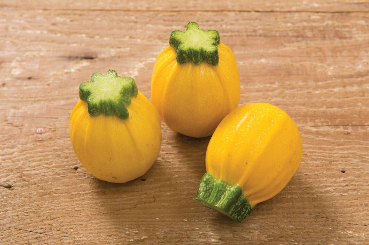 Summer Ball – Squash Seed
