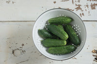 Jackson Supreme – Cucumber Seed