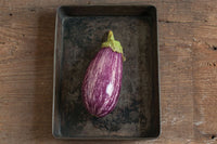 Nubia – Eggplant Seed