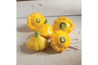 Sunburst – Patty Pan Squash Seed