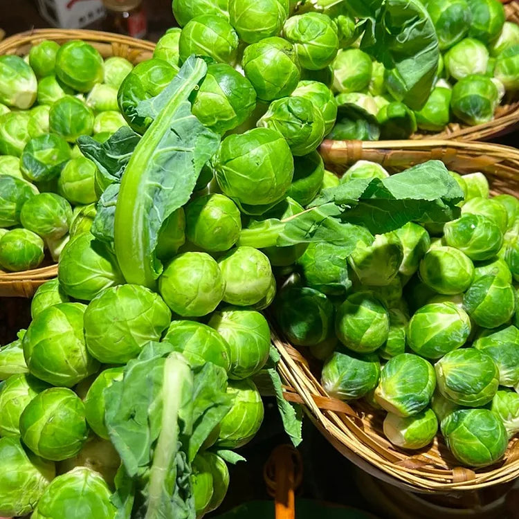 Brussels Sprouts Seeds