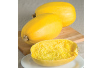 Spaghetti Squash – Vegetable Seed