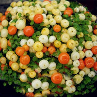 Egrow Lamp Beads Grass Seeds