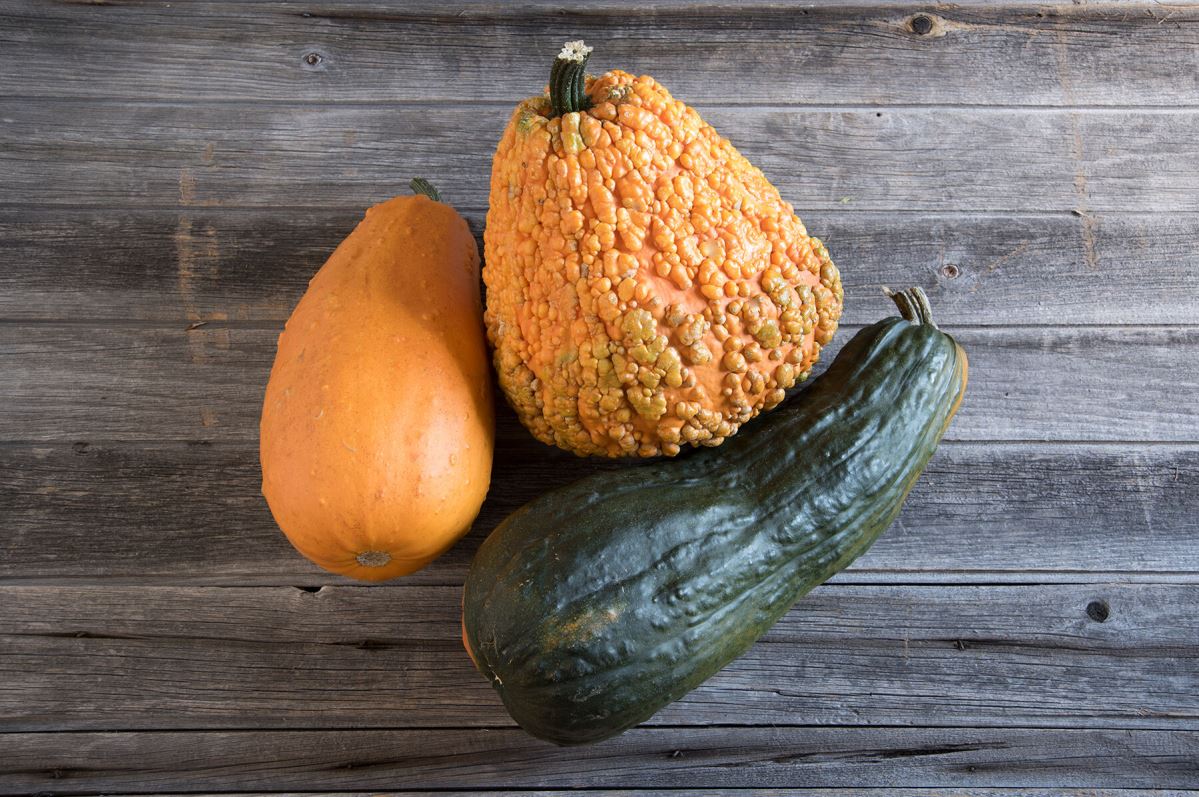 Lunch Lady – Gourd Seed