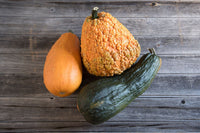 Lunch Lady – Gourd Seed