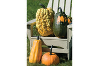 Lunch Lady – Gourd Seed