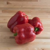 Ninja – Bell Pepper Seed