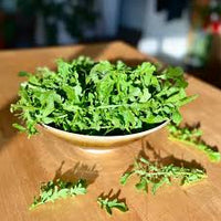 Esmee – Organic Arugula Seed